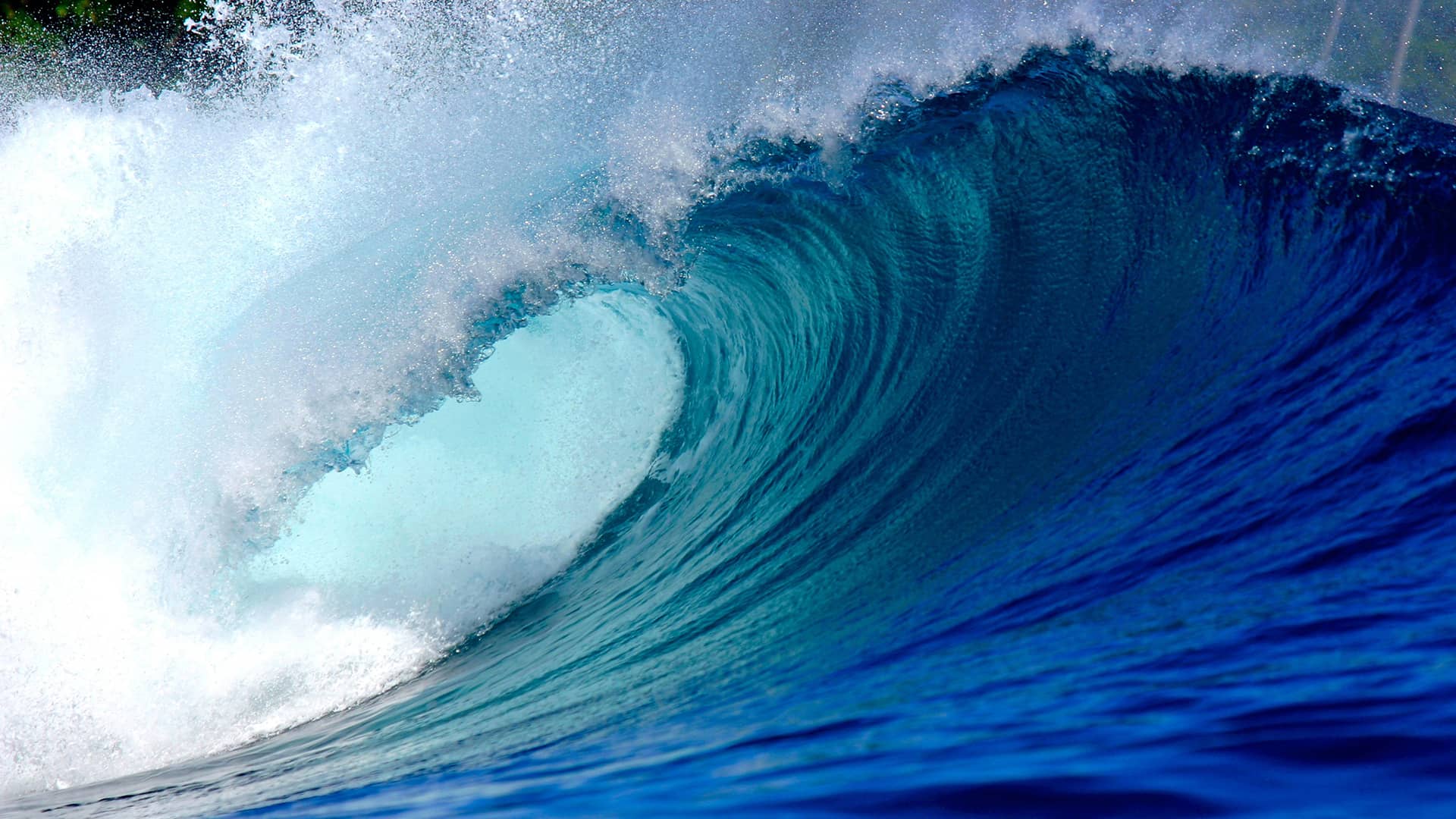 Waves