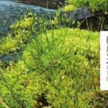 Ferðamálastofa auglýsir lausa stöðu starfsnema