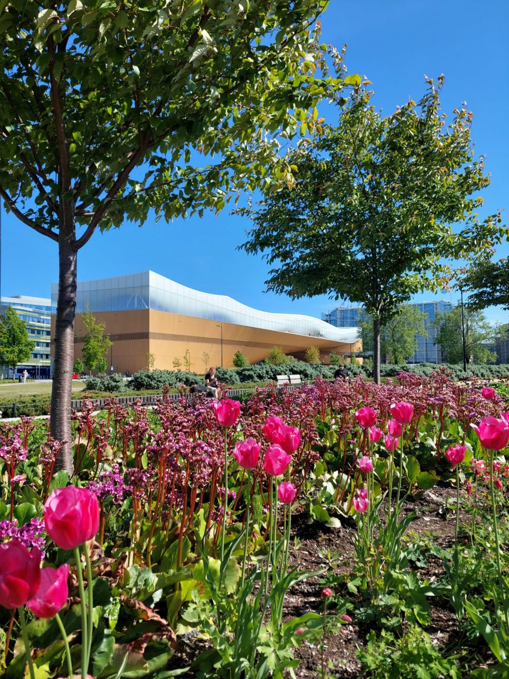 Helsinki Central Library Oodi