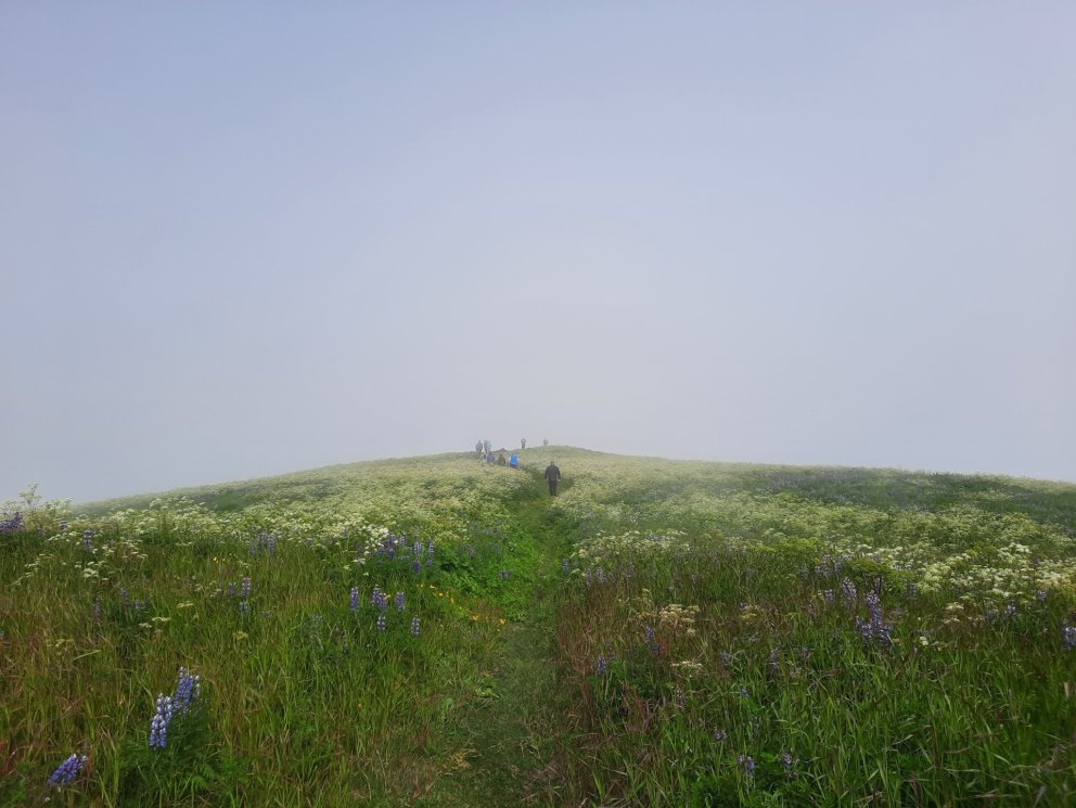 Ný skýrsla um ábyrga eyjaferðaþjónustu komin út