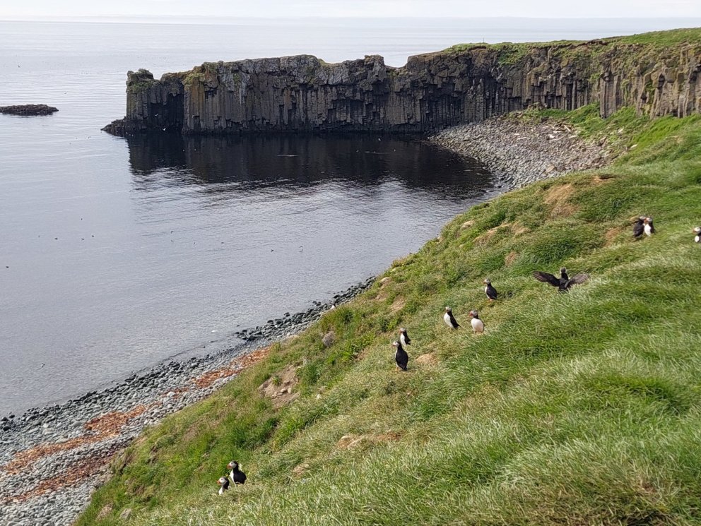 Rannsóknamiðstöð ferðamála auglýsir eftir meistaranema í spennandi rannsóknaverkefni í sumar á sviði…