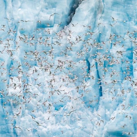 Photo: Wanling Chung