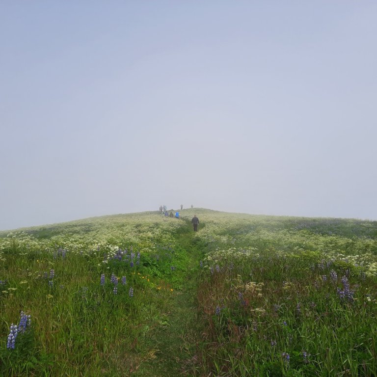 Ný skýrsla um ábyrga eyjaferðaþjónustu komin út