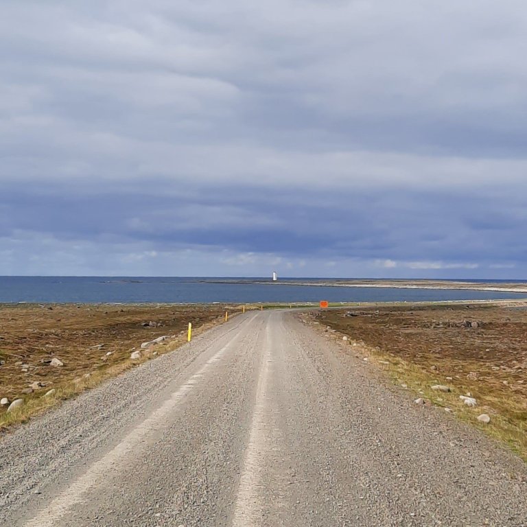 @Þórný Barðadóttir 2022