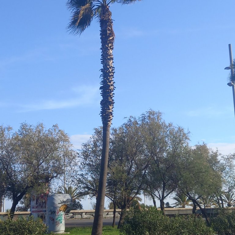 Fundað um viðbrögð við krísu í ferðaþjónustu í Barselóna