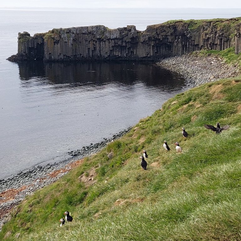 Rannsóknamiðstöð ferðamála auglýsir eftir meistaranema í spennandi rannsóknaverkefni í sumar á sviði…