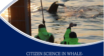 Citizen science in whale-watching